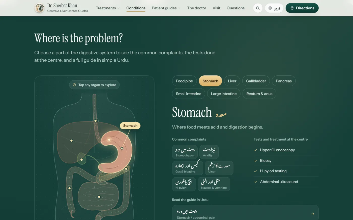 Dr. Sherbat Khan website — interactive body map, with the digestive journey running through it