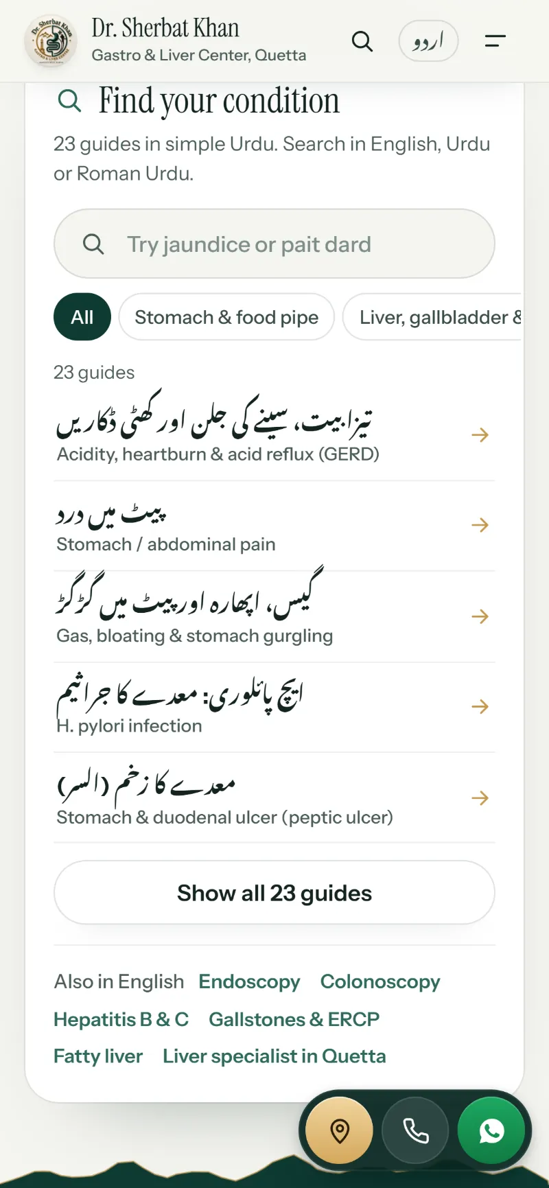 Dr. Sherbat Khan website — Find your condition on a phone: search, filters and the first guides